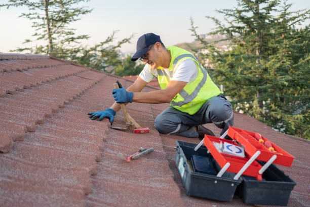 Best Local Roofing Companies  in Maxwell, CA
